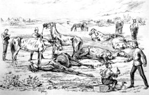 1874년 데드 호스 밸리의 기마 경찰, 앙리 줄리엔 묘사