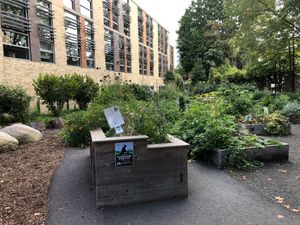 플로리다 리핀 리들리 학교 정원(매사추세츠주 브루클린)