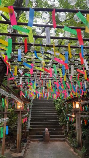 방문객들의 소원이 적힌 색종이가 매달린 뇨이린지 사찰의 후린 풍경