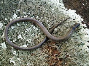 Michael J. Murphy가 촬영한 사진