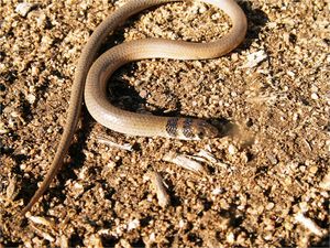 마이클 J. 머피 촬영