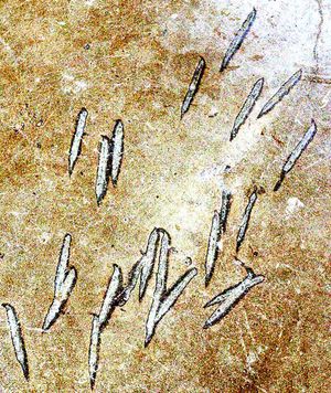 비록 메워졌지만, 수감자가 참수당한 곳의 도끼 자국은 여전히 보인다.