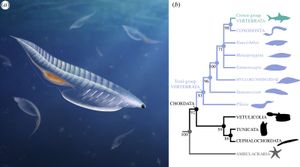 유영성 환경에 있는 누키크티스의 복원도와 계통도