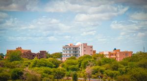 니알라의 공과대학, 중앙 도서관 및 모스크 건물