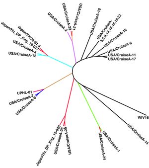 2020년 2월 10일부터 2월 25일까지 선상 격리된 사람들에게서 채취한 샘플에서 얻은 SARS-CoV-2 게놈의 뿌리 계통 발생 트리