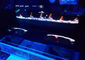 다리우스 캐비닛은 중앙 모니터 측면에 거울을 사용하여 아래 모니터를 반사한다.