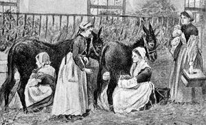 1895년 프랑스 기관에서 어린아이에게 젖을 먹이는 당나귀. 직접 유두 수유는 감염된 유모의 위험이 알려지면서 유럽에서 널리 퍼지게 되었다.