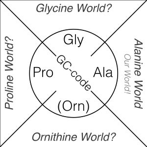 알라닌 월드 가설과 가능한 대안을 포함한 유전 코드의 초기 진화 단계