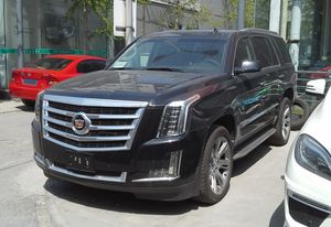 대통령 경호에 사용되는 캐딜락 에스컬레이드 차량. 대통령경호처 요원들이 선루프를 통해 외부를 경계하며 잠재적 위협에 대비하는 모습이 종종 포착된다.