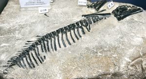 코레아케라톱스의 화석