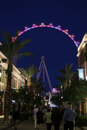 2014년 배경에 하이 롤러가 있는 더 링크 프롬나드