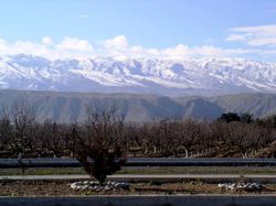 코페트다그 산맥 - 베레케트시의 이른 봄 풍경