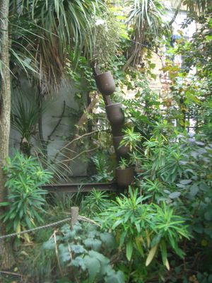 댄 피어슨이 디자인한 런던 보닝턴 광장 공원(2013)