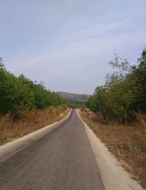 더군다잉 - 아비트 도로