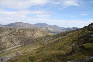 아시비수이트-니피사트