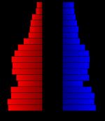 2000년 도슨군 인구 피라미드