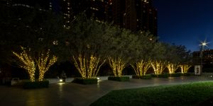 캘리포니아 로스앤젤레스의 사우스 올리브 스트리트의 녹지