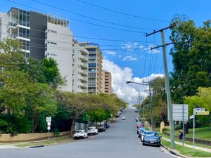 전형적인 퀸즐랜드주 밀턴의 도시 임업