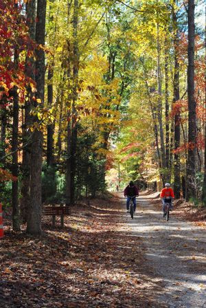 캘리포니아 샌타모니카 산맥의 백본 트레일은 도시숲이 제공하는 휴식 및 레저 공간의 예시이다.