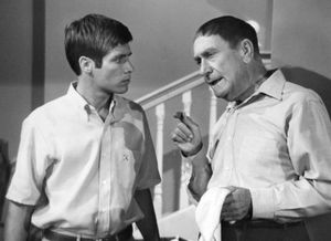 나의 세 아들(1969)에서 돈 그레이디와 함께 출연한 데머러스트