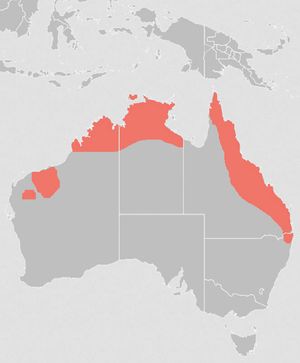 2008년 IUCN 목록에서 파생된 분포 범위.