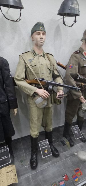 제2차 세계 대전 중 동방 군단의 우크라이나 군인의 제복