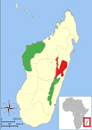 세 아종의 분포 지도