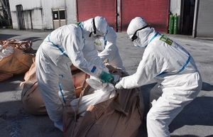 처분된 돼지의 포장.