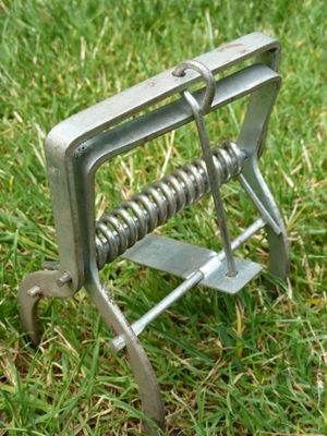 mole trap