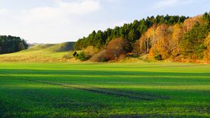 콜린 사운드의 경계 언덕