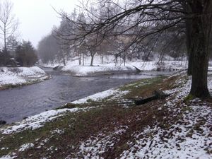디보카 오를리체강과 로키텐카강의 합류 지점