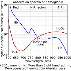 맥박 산소 측정기를 통해 측정된 혈색소/옥시헤모글로빈 시스템은 808 nm 근처에서 등흡수점을 보여준다.