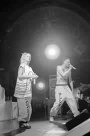 2010년 공연하는 디 안트보르트