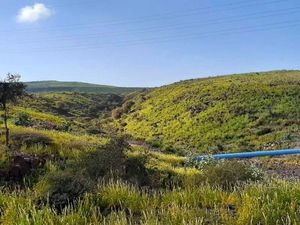 디킬 인근의 풍경