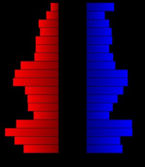 2000년 인구 조사 당시의 군의 인구 피라미드