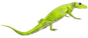 멕테로사우루스(M. longiceps) 복원도