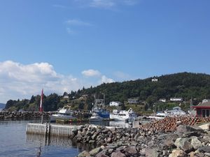 2019년 지미 키멜이 기증한 딜도 표지판으로 항구를 내려다보고 있다.