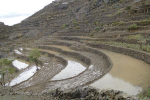 알 자빈 지역의 계단식 농업