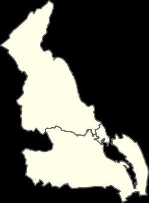 1993년부터 2014년까지 자치구의 선거구 지도