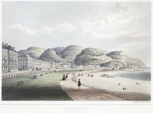 란디드노, 1860년 퍼레이드 모습