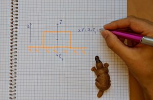 플라스틱 오리너구리 학습