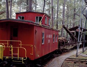 텍사스 루프킨 텍사스 임업 박물관의 오래된 밴