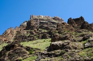 바이부르트주의 염소 성