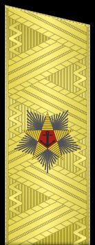 1974-1991 견장(정복)