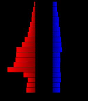 2000년 인구 조사 결과를 바탕으로 작성한 레이크군의 인구 피라미드