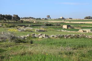 농업은 렌디 경제의 중요한 부분이었다