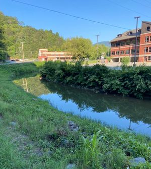 켄터키주 화이트스버그를 흐르는 노스 포크 켄터키 강