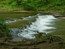 데이비드 크로켓 주립공원의 크로켓 폭포