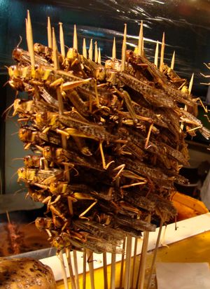 메뚜기 꼬치구이 (중국 베이징)