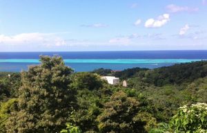 세계에서 두 번째로 큰 장벽 산호초 시스템인 메소아메리카 장벽 산호초 시스템 위에서 바라본 빅 바이트의 모습